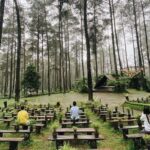 Memiliki Nuansa Asri, Ini Rekomendasi 4 Tempat Wisata Alam Bandung